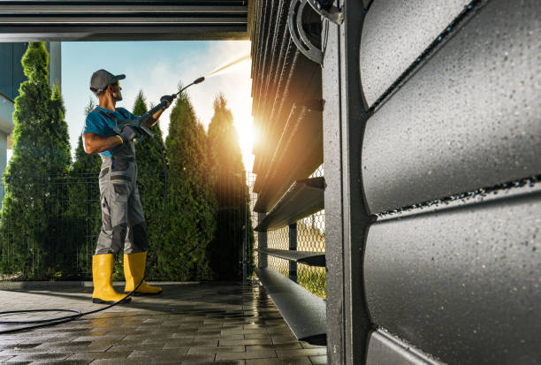Best Solar Panel Cleaning  in Lamar, TX